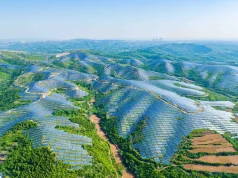 Brunei Eyes Regional Leadership in Blue Carbon Credits