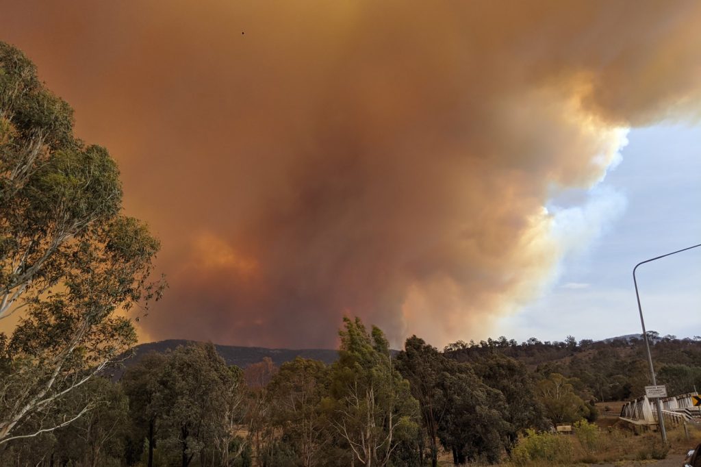 Australias Bushfires Cause Over 2 Billion in Economic Damage