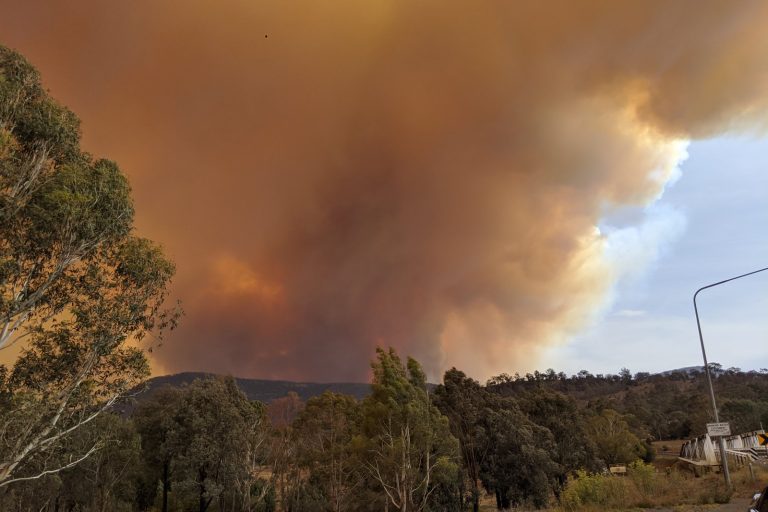Australia’s Bushfires Cause Over $2 Billion in Economic Damage