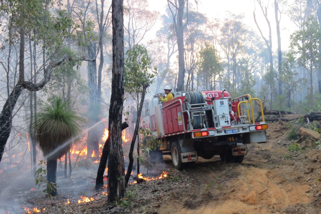 Australia Airdrops Vegetables to Feed Wildlife Amid Bushfire Crisis