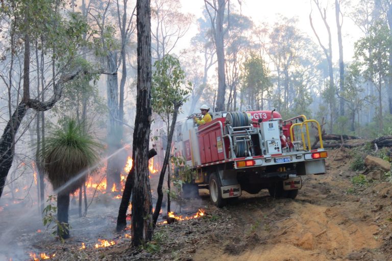 Australia Airdrops Vegetables to Feed Wildlife Amid Bushfire Crisis