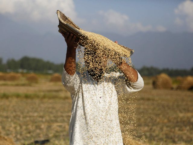 food price to highest level-FAO