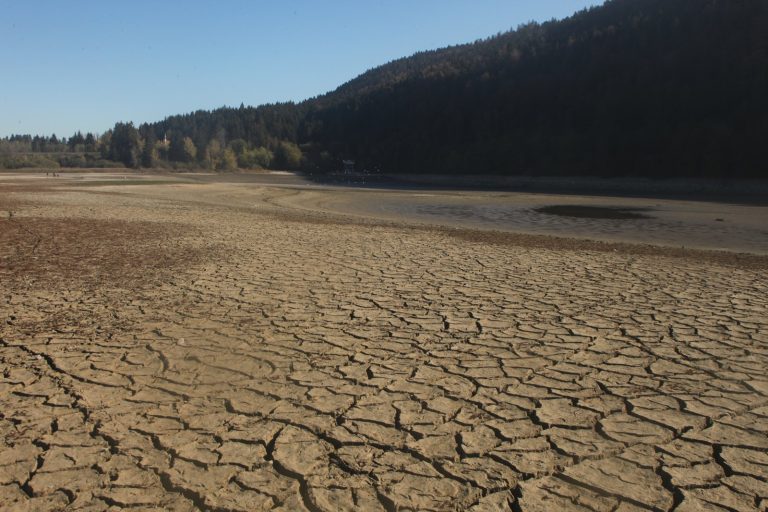 Europe Heatwaves Kill Tens of Thousands, Billions in Damage