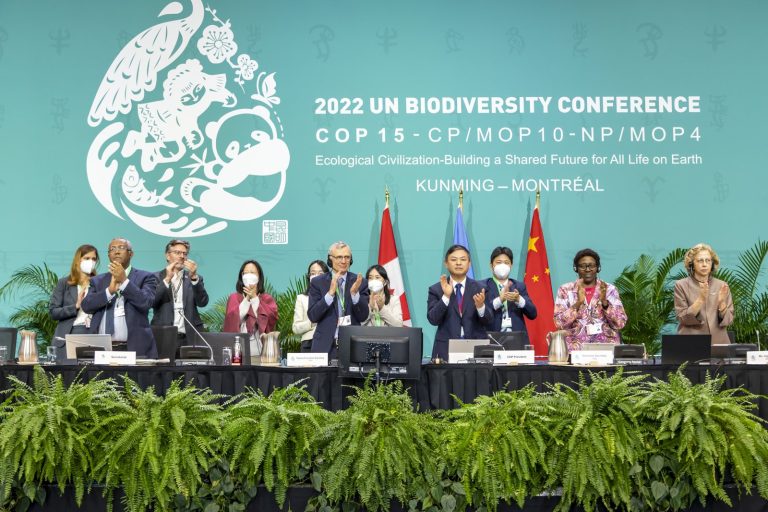 Global Biodiversity Framework Sets Ambitious Targets for 2030 and Beyond