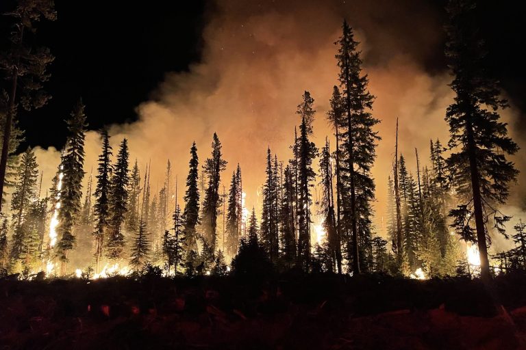 Wildfire Smoke from Canada Triggers Health Advisory for 179 Million