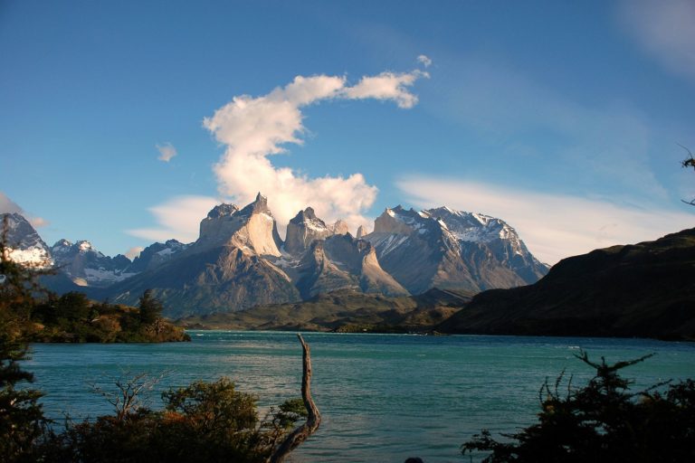 New dinosaur species discovered in Chilean Patagonia fossils