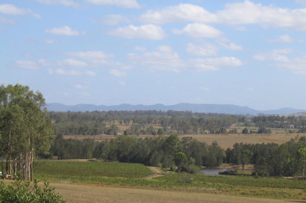 Hunter Region bus crash kills 10, injures 25 near Greta