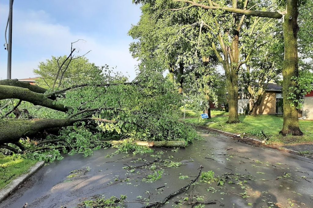 Central Russia Storm Leaves 10 Dead, 76 Injured After Violent Winds