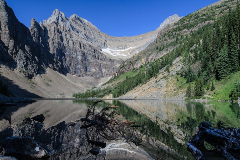Grizzly Bear Attack in Banff Park Leaves Three Dead Suddenly