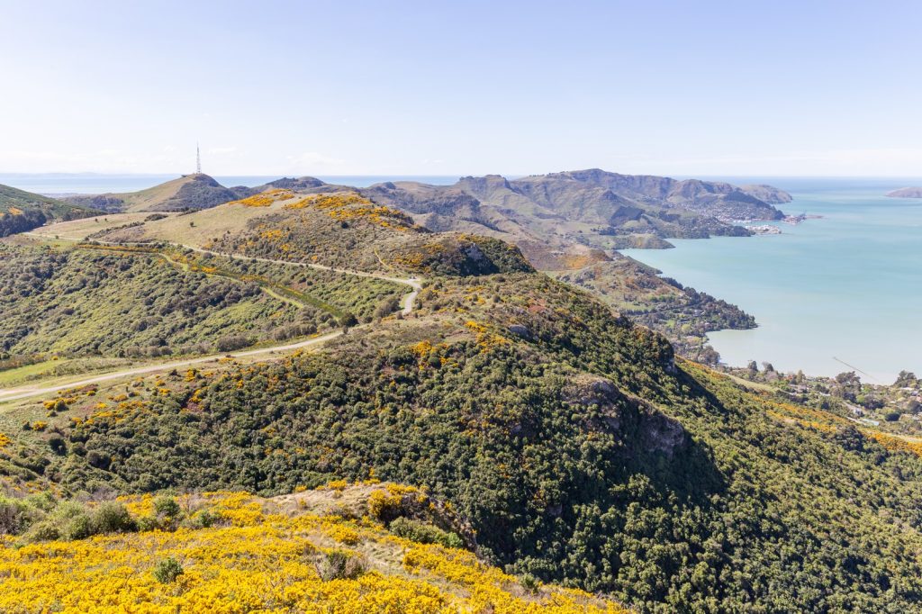 Christchurch Declares Emergency as Port Hills Fire Rages