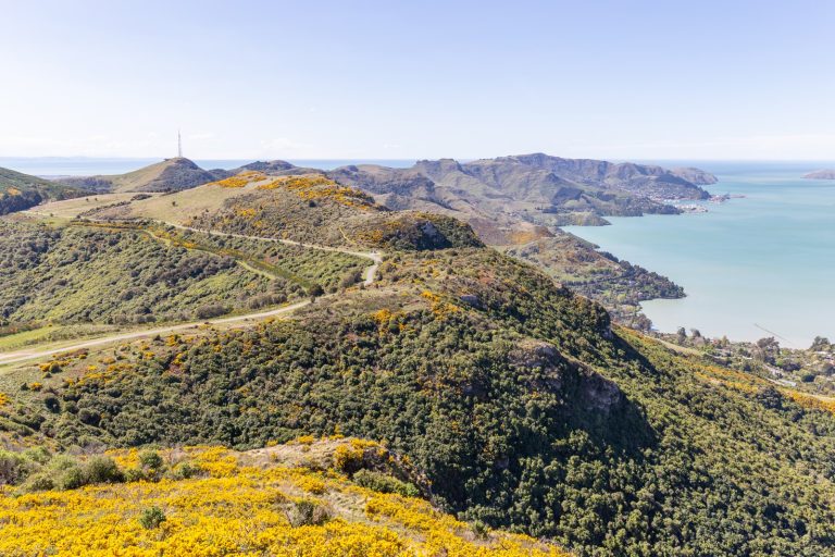 Christchurch Declares Emergency as Port Hills Fire Rages
