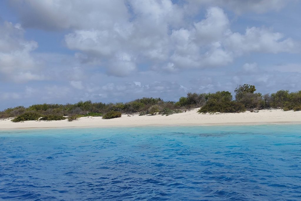 Oil Spill from Capsized Ship Threatens Bonaires Ecosystem