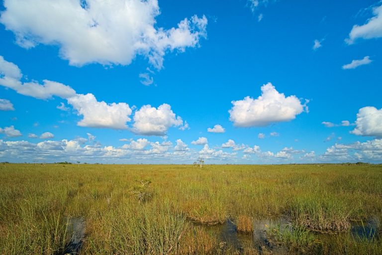 Florida I-75 Plane Crash Kills 2, Threatens Everglades