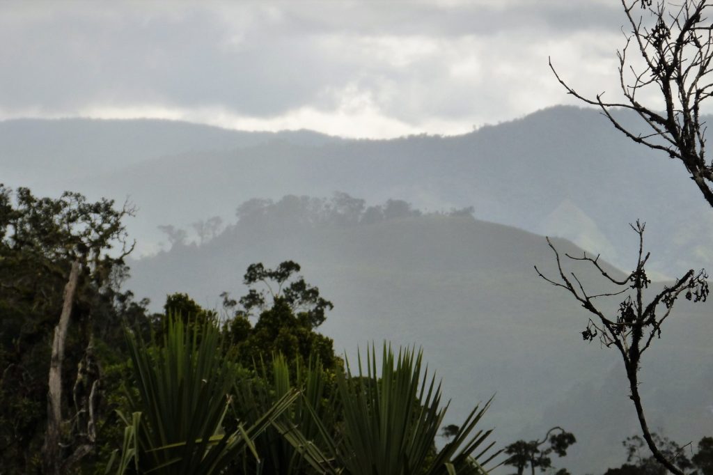 Four Dead, Many Missing After Devastating Landslide in Papua New Guinea