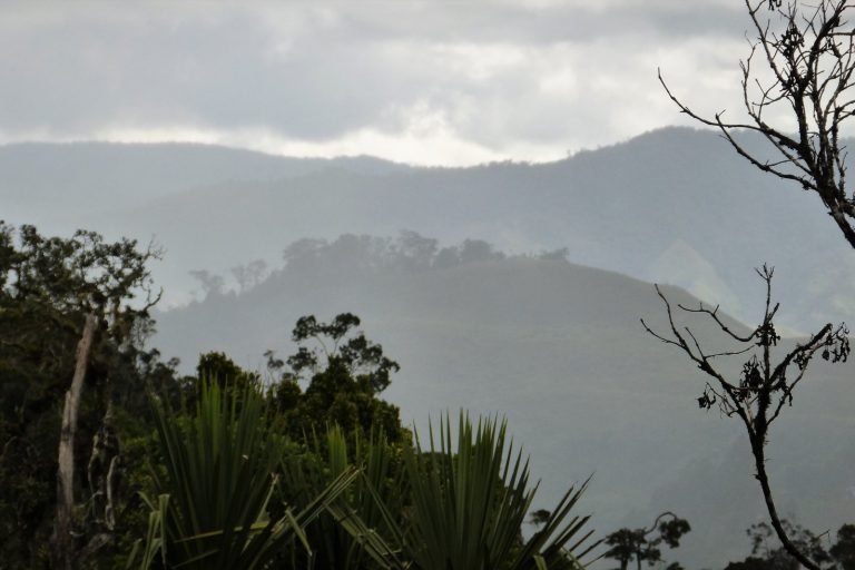 Four Dead, Many Missing After Devastating Landslide in Papua New Guinea