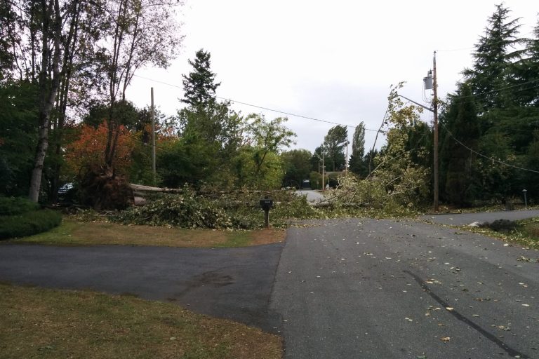 Devastating Windstorm Hits Buddhist Retreat in Alberta, Canada, Killing One