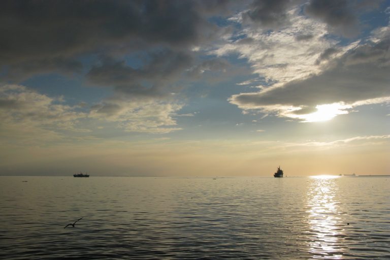 Toxic Fish Threatens Manila Bay After Massive Oil Spill Disaster