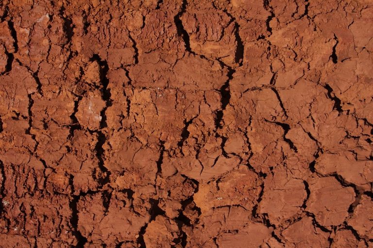 European Heatwaves Bring Widespread Damage And High Death Toll