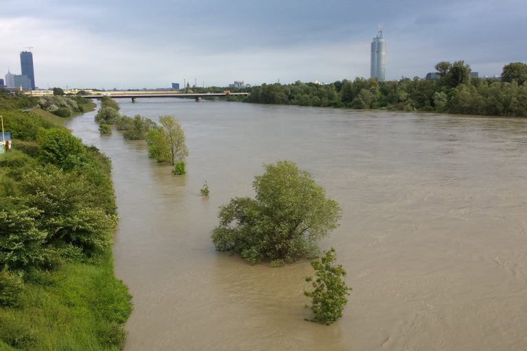 Vienna Begins Massive Cleanup After Devastating Flash Floods Hit City