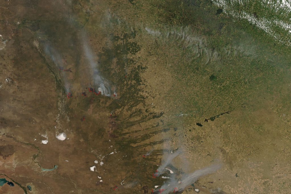 Argentinas Uncounted Wildfires Devastate Farmland and Rural Livelihoods