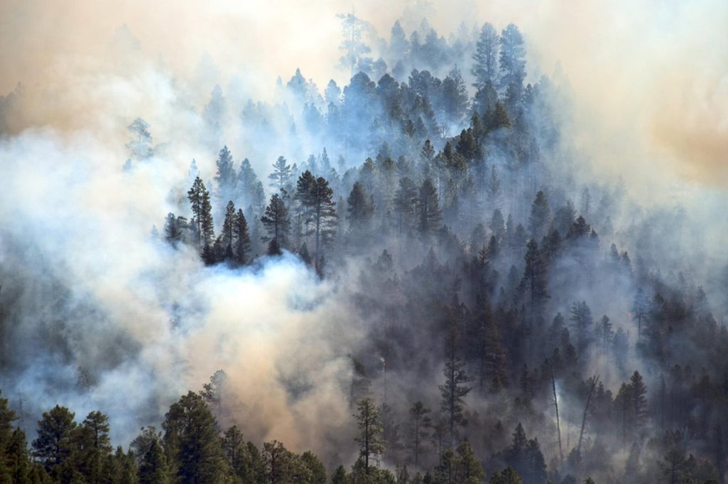 Wildfires Devastate Northern and Central Argentina