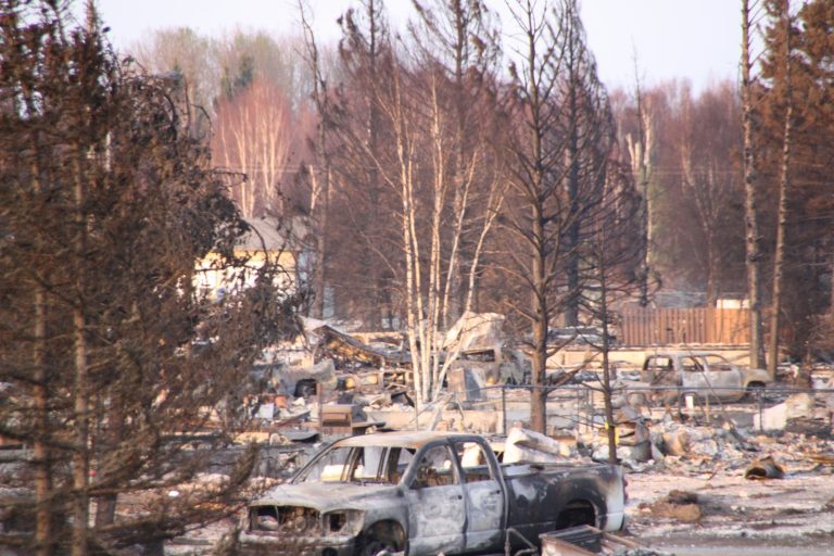 Portugal Arrests 12 Arson Suspects After Deadly Wildfires