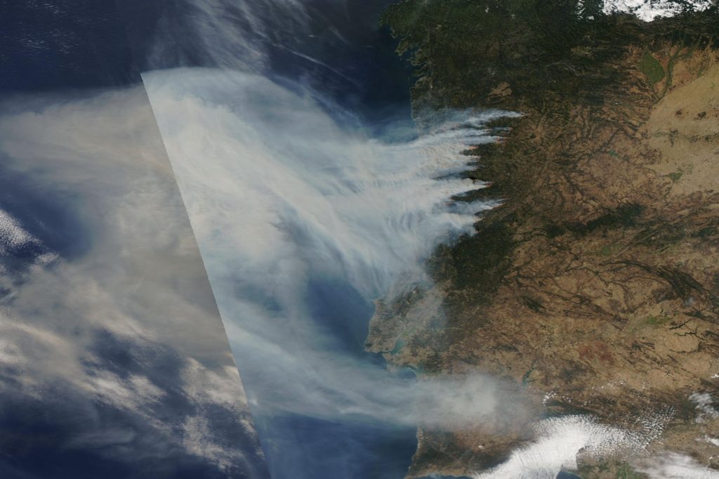 Portugal Wildfires Burn 135,000 Hectares, Kill Nine