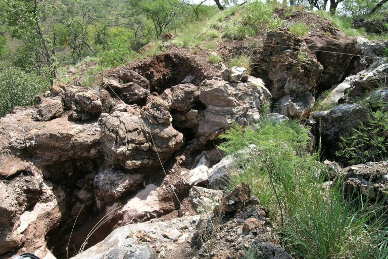 Scientists Uncover 10,000-Year-Old Human Genome in South Africa Remains
