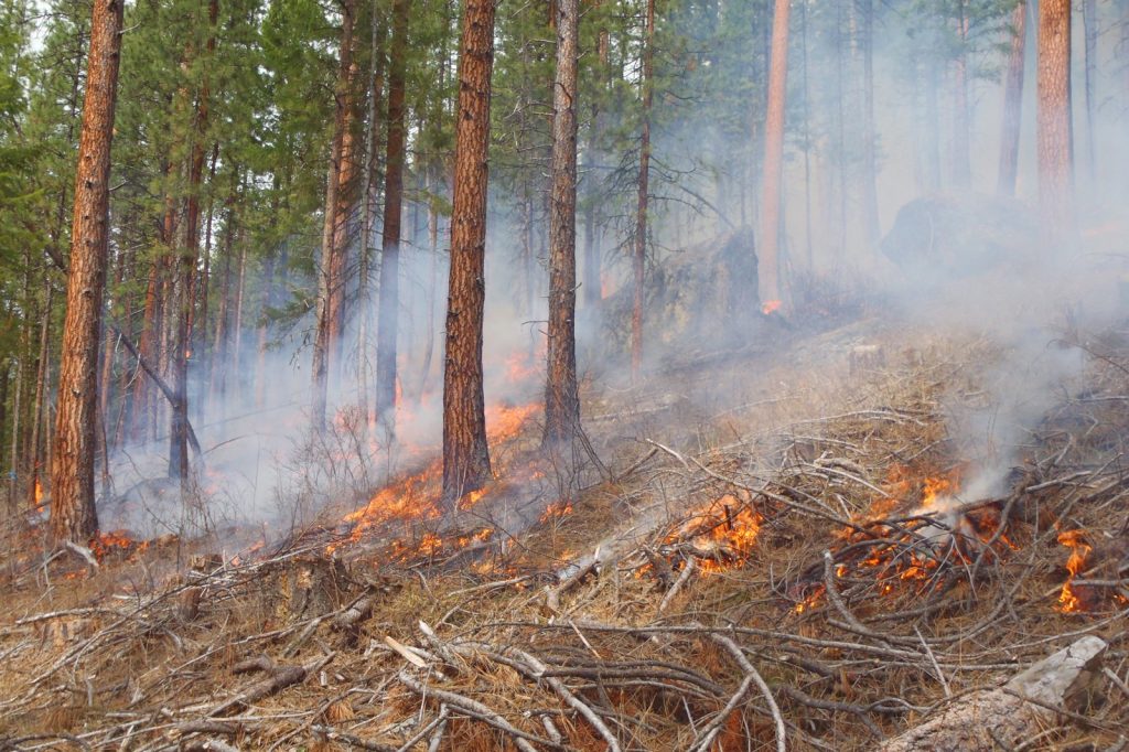 Mountain Fire Surges to 10,400 Acres in California
