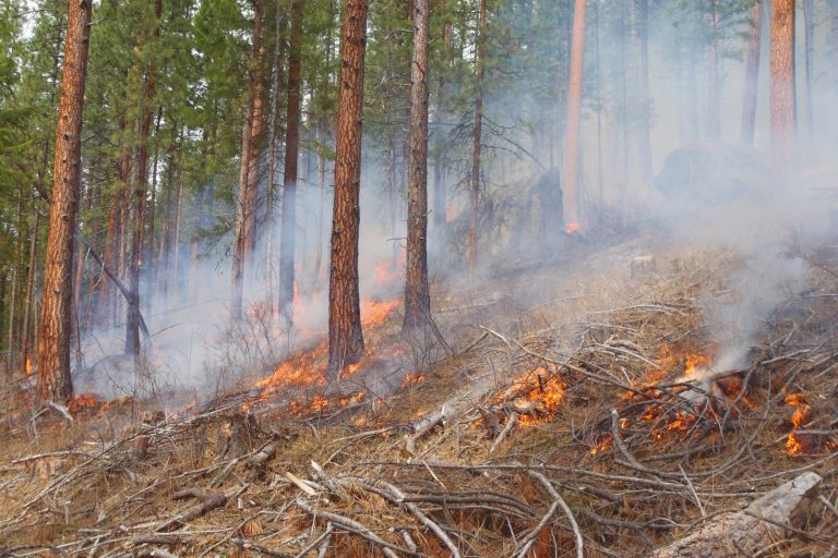 Mountain Fire Surges to 10,400 Acres in California