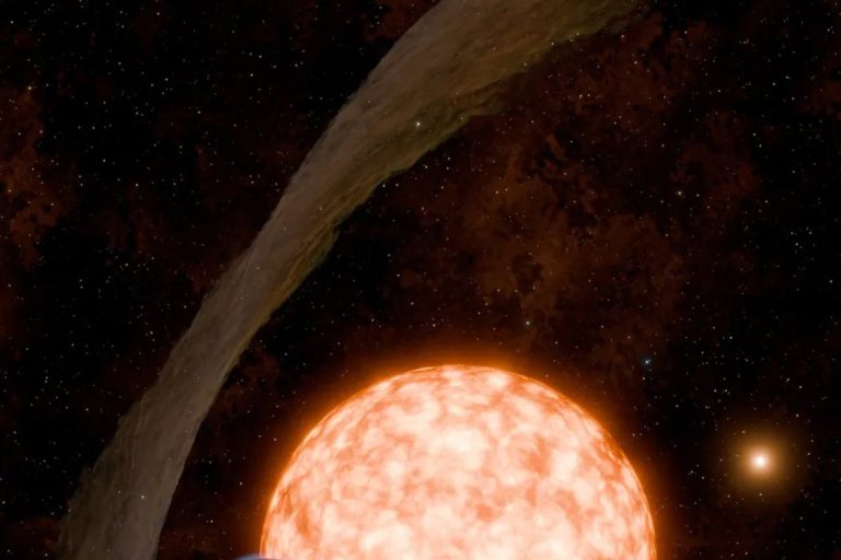 Astronomers Discover Newborn Exoplanet IRAS 04125+2902 b