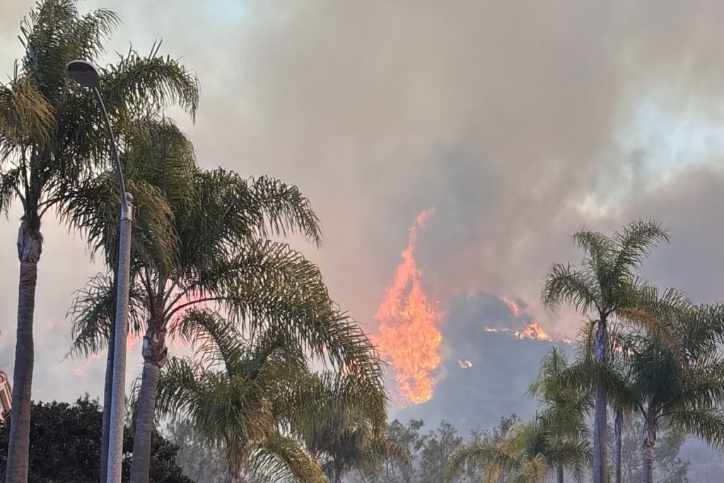 Palisades Fire Devastates Los Angeles County with Massive Destruction Reported