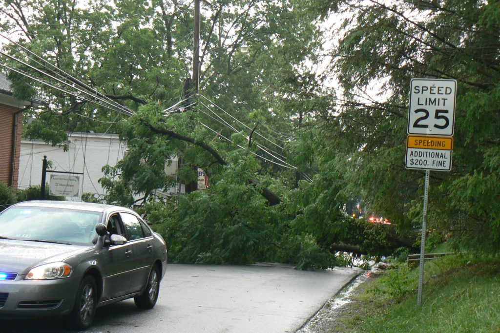 Michigan Tree Fall Kills Three Children, Injures Three Others