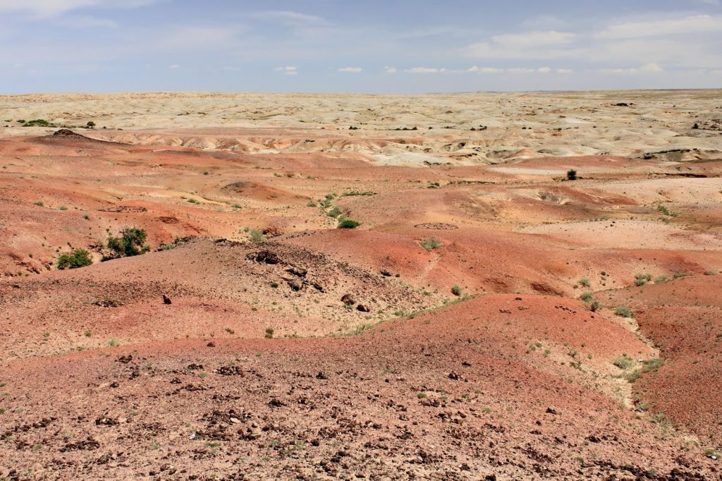 New Dinosaur Discovery Expands Mongolia\u2019s Prehistoric Fossil Record
