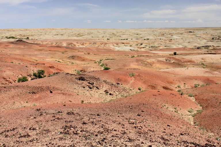 New Dinosaur Discovery Expands Mongolia’s Prehistoric Fossil Record