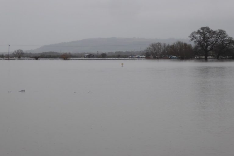 Andalusia Floods Kill 3, Threaten Farm Season
