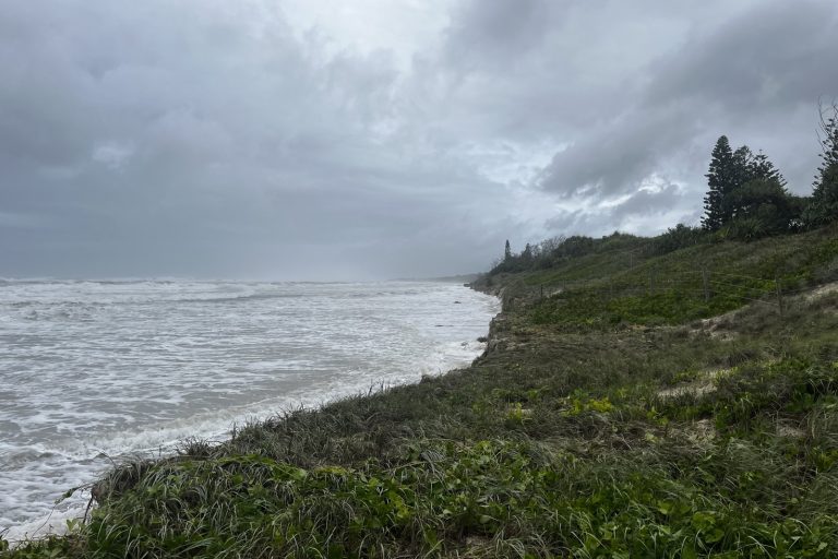 Cyclone Alfred Prompts School Closures and Transport Suspension in Queensland
