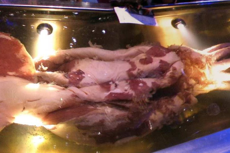 Colossal Squid Caught on Film Alive in Its Natural Habitat