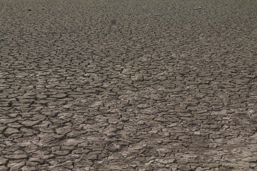 Deadly Heat Wave Strikes Indian Subcontinent with Record Temperatures Rising