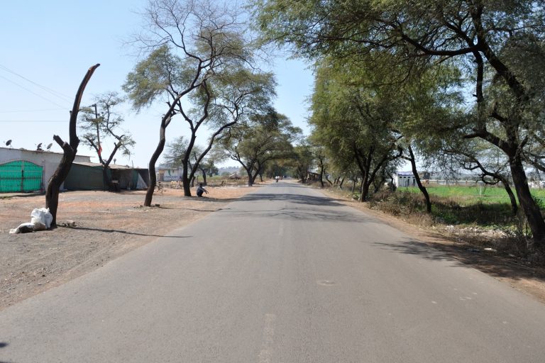 Tragic Road Accident in Madhya Pradesh Claims 12 Lives Suddenly