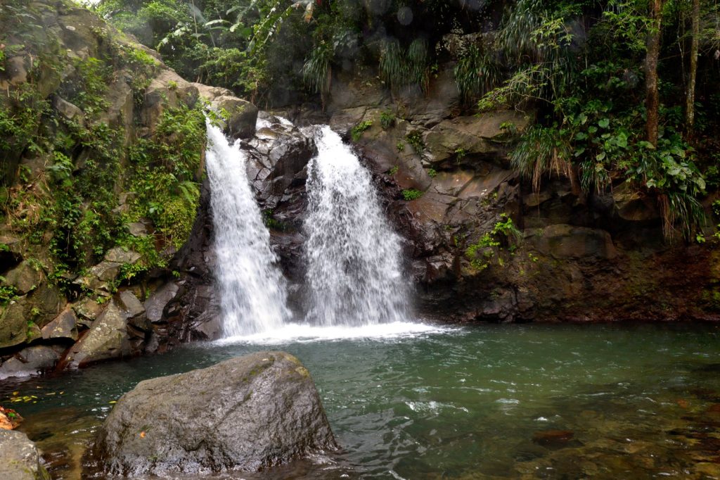 Two Hikers Die, Seven Rescued in Martinique River Tragedy