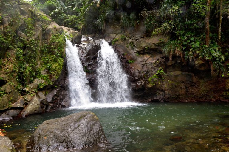 Two Hikers Die, Seven Rescued in Martinique River Tragedy