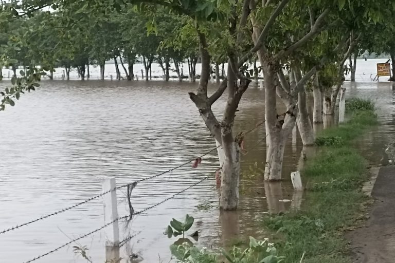 Seven Dead as Torrential Rains Wreak Havoc Across Northern India