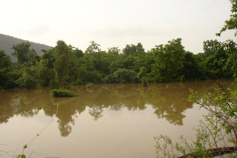 Three Children Drown in Telangana Pond Accident