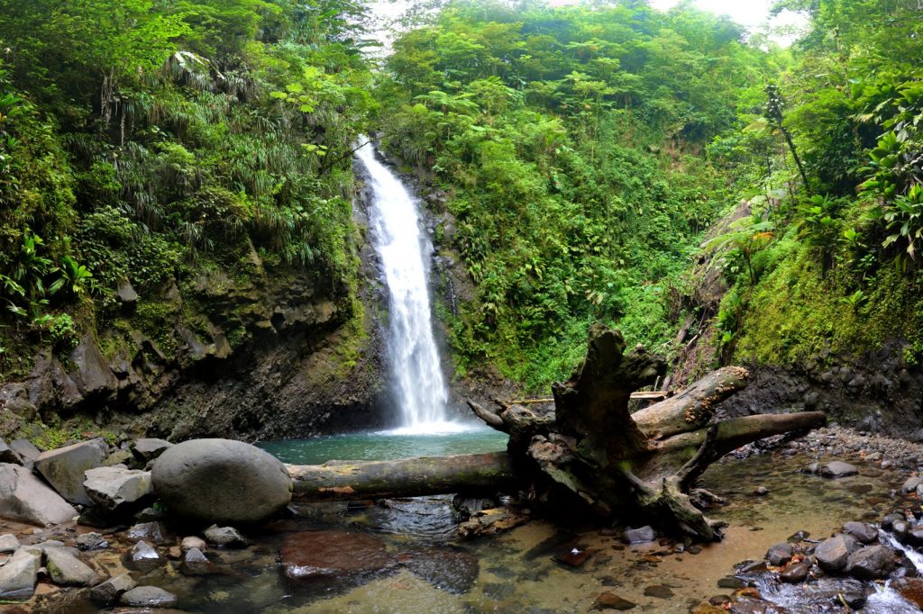 Flash Flood at Didier Waterfall Claims Two Lives Suddenly