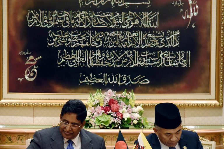 Brunei Eyes Regional Leadership in Blue Carbon Credits