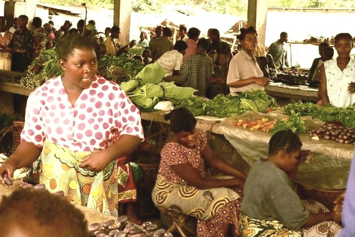Basankusu River Disaster Leaves 86 Dead, Community in Crisis