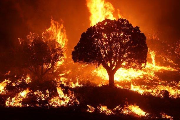 2025 European heatwaves