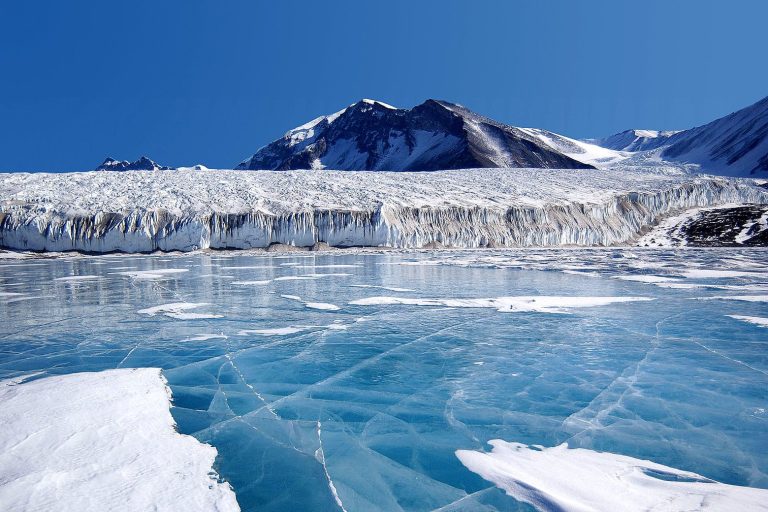 Partial Solar Eclipse Wows Astronomy Enthusiasts in Antarctica Region