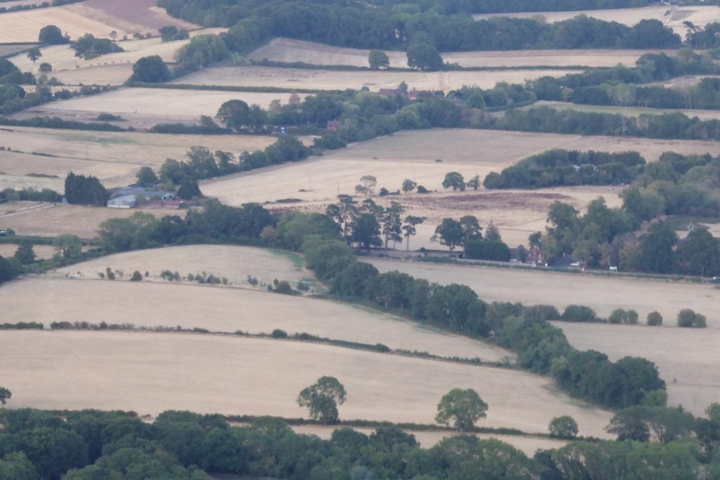 Europes August Drought Hits Record High, Report Finds